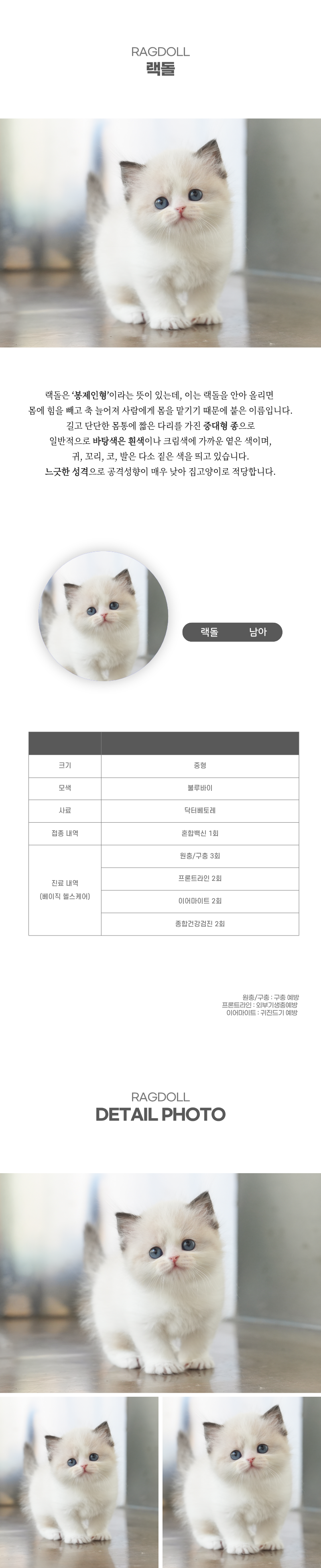 랙돌_상세이미지_2